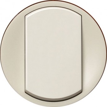 Лицевая панель LEGRAND Celiane для одноклавишных выключателей/переключателей, слоновая кость Лицевая панель LEGRAND Celiane для одноклавишных выключателей/переключателей, слоновая кость